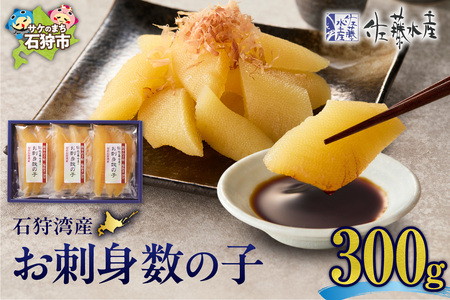 Y ΎpY hg̎q 300b ̎q  NNn  kC Ύs