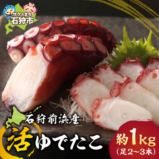 石狩前浜産 活ゆでたこ 約1kg(足2〜3本)|海鮮 たこ タコ 石狩前浜産 北海道 石狩市