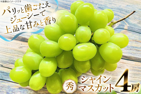 yԌ蔭z VC}XJbg G 4[  2.4kg [O̗ R`  tk06ays960003]