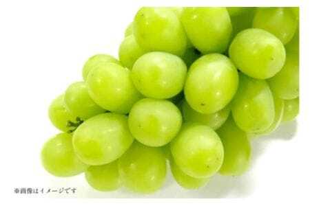 yԌ蔭z VC}XJbg AN 4`6[ 3.2kg [c_ R`  tk06ayt230003] Ԃǂ uhE  }XJbg t[c ʕ  Yn _ƒ