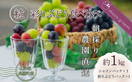 ≪2025年先行予約≫山形県 高畠町産 大粒ぶどう 彩りぶどう食べ比べ 粒 約1kg(500g×2)2025年9月中旬から順次発送 ブドウ 葡萄 マスカット 大粒 種なし 高級 くだもの 果物 フルーツ 秋果実 食べ比べ 自宅用 家庭用 ギフト 贈り物 プレゼント 産地直送 農家直送 数量限定 F21B-307