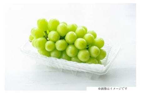 [期間限定発送] シャインマスカット 訳あり 3〜5房 約1.5kg [oboco grapes 山形県 高畠町 tk06ayt250004] ぶどう ブドウ 葡萄 ご家庭用 フルーツ 果物 くだもの 1.5キロ 甘い