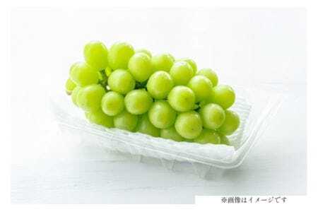 [期間限定発送] シャインマスカット 2房 1kg 以上 朝採り [oboco grapes 山形県 高畠町 tk06ayt250003] ぶどう ブドウ 葡萄 フルーツ 果物 くだもの 1キロ 甘い