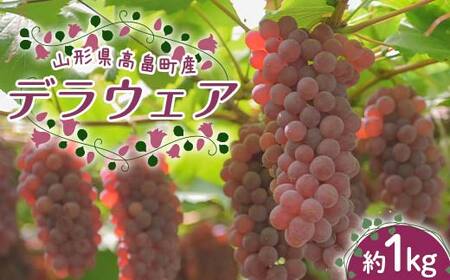 ≪2025年先行予約≫山形県 高畠町産 デラウェア約1kg(5〜7房) 2025年8月中旬から順次発送 種無し 食べやすい ぶどう ブドウ 葡萄 くだもの 果物 フルーツ 夏果実 中元 贈り物 ギフト 自宅 家庭 産地直送 農家直送 F21B-369