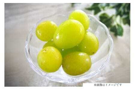 yԌ蔭z VC}XJbg  280g 4p 1.12kg ̂ [O̗ R`  tk06ays960007] t[c ʕ  Ԃǂ uhE  嗱 Â