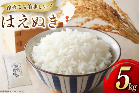米 令和7年度産 はえぬき 5kg [渡部ファーム 山形県 高畠町 tk06ays810033]