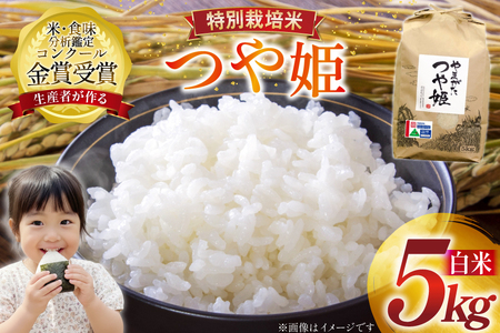 米 令和7年産 つや姫 5kg 特別栽培米 精米 [農家の蔵出し米生産組合 山形県 高畠町 tk06ays900022]