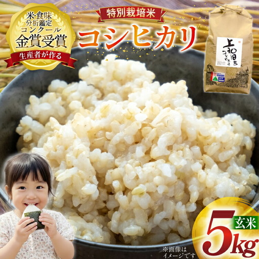 米 令和7年産 こしひかり 天日乾燥「和」 5kg 特別栽培米 玄米 [農家の蔵出し米生産組合 山形県 高畠町 tk06ays900027]
