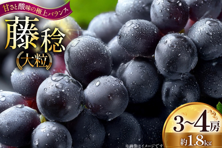 yԌ蔭z 嗱Ԃǂ  3`4[  1.8kg [ginataԂǂ R`  tk06ayt190010]