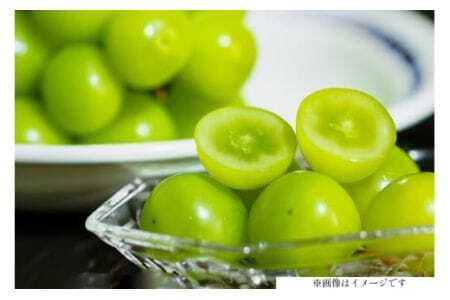 yԌ蔭z 󂠂 VC}XJbg  tl  1.3kg [ǉʎ R`  tk06ayt350002]