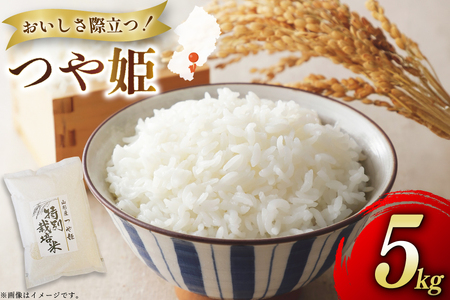  ߘa7NxY ʍ͔| P 5kg [nt@[ R`  tk06ays810030]