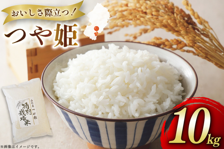  ߘa7NxY ʍ͔| P 10kg [nt@[ R`  tk06ays810031]