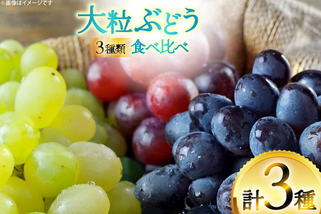 yԌ蔭z Ԃǂ 3 Hה Zbg ( VC}XJbg sI[l NC[j[i }Cn[g NC[Zu ) [la R`  tk06ayt020007]