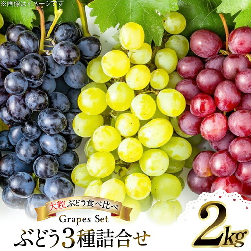 [期間限定発送] ぶどう 3種詰合せ 約2kg [大野農園 山形県 高畠町 tk06ayt050004]