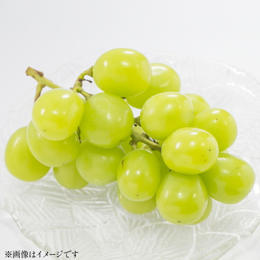 [期間限定発送] ぶどう クリスマス シャインマスカット 1房 約700g [大野農園 山形県 高畠町 tk06ayt050005]