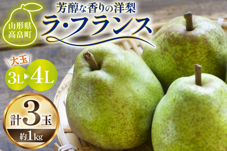 yԌ蔭z EtX R` 3L`4L 3 1kg [Om R`  tk06ays910004]