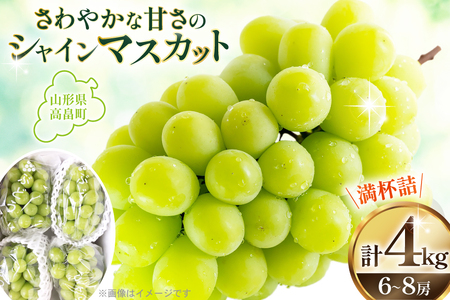 yԌ蔭z VC}XJbg R`YVC}XJbg 4kg (6?8[) [{c_ R`  tk06ays820005]