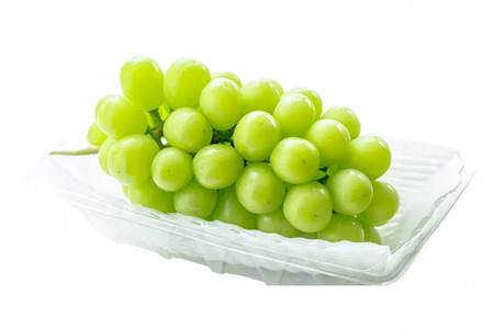 yԌ蔭z VC}XJbg 2kg 3[ [y~X R`  tk06ayt290002] Ԃǂ uhE  }XJbg 嗱 Ȃ ʕ  t[c