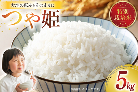 令和7年産 特別栽培米 つや姫 5kg [田制農園 山形県 高畠町 tk06ayt230007]