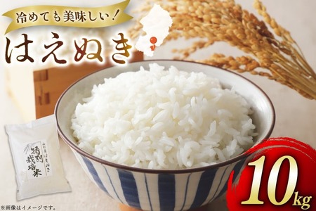  ߘa7N ͂ʂ 10kg [nt@[ R`  tk06ays810034]