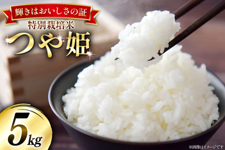  ߘa7NY ʍ͔| P 5kg [{cEm R`  tk06bgj910004]