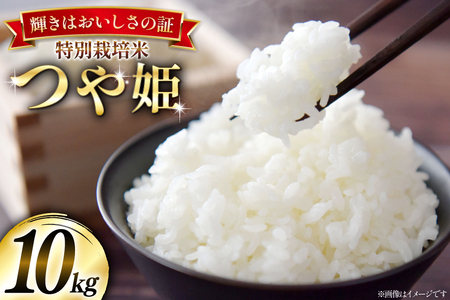  ߘa7NY ʍ͔| P 10kg (5kg×2) [{cEm R`  tk06bgj910005]