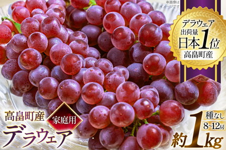 [期間限定発送] 家庭用 訳あり デラウェア 8〜12房 約1kg [いわた果樹園 山形県 高畠町 tk06ayt400006]