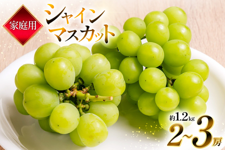 yԌ蔭z ƒp 󂠂 VC}XJbg 2`3[ 1.2kg [킽ʎ R`  tk06ayt400007]