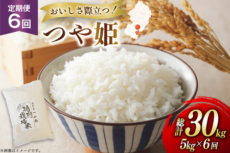 �� ����� 6�� �ߘa7�N ��P 5kg 6�� �v30kg [�n���t�@�[�� �R�`�� ������ tk06ays810038]