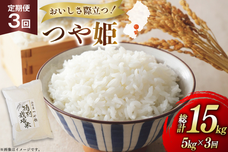 �� ����� 3�� �ߘa7�N ��P 5kg 3�� �v15kg [�n���t�@�[�� �R�`�� ������ tk06ays810037]