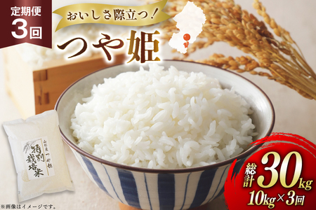 �� ����� 3�� �ߘa7�N ��P 10kg 3�� �v30kg [�n���t�@�[�� �R�`�� ������ tk06ays810039]