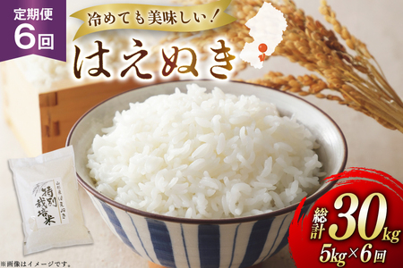 �� ����� 6�� �ߘa7�N �͂��ʂ� 5kg 6�� �v30kg [�n���t�@�[�� �R�`�� ������ tk06ays810042]