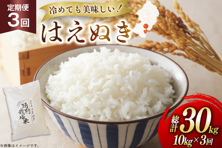 �� ����� 3�� �ߘa7�N �͂��ʂ� 10kg 3�� �v30kg [�n���t�@�[�� �R�`�� ������ tk06ays810043]