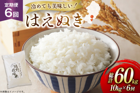 �� ����� 6�� �ߘa7�N �͂��ʂ� 10kg 6�� �v60kg [�n���t�@�[�� �R�`�� ������ tk06ays810044]