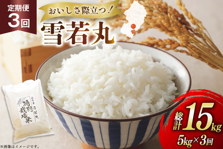 �� ����� 3�� �ߘa7�N ���� 5kg 3�� �v15kg [�n���t�@�[�� �R�`�� ������ tk06ays810049]