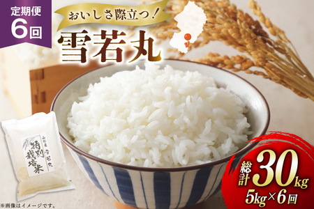 �� ����� 6�� �ߘa7�N ���� 5kg 6�� �v30kg [�n���t�@�[�� �R�`�� ������ tk06ays810048]