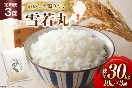 �� ����� 3�� �ߘa7�N ���� 10kg 3�� �v30kg [�n���t�@�[�� �R�`�� ������ tk06ays810047]