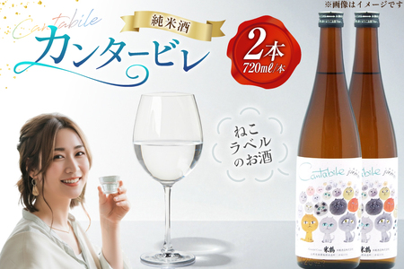 日本酒 辛口 純米カンタービレ 720ml 2本 セット [米鶴酒造 山形県 高畠町 tk06ays710013]