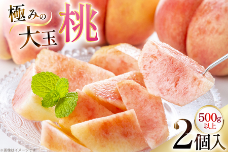 [期間限定発送] 桃 さくら白桃 極みの大玉 500g以上 2玉 [東城農園 山形県 高畠町 tk06ayt370006]