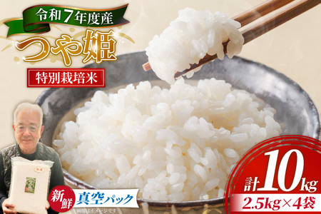 米 令和7年産 特別栽培米 つや姫 10kg (2.5kg×4袋) [齋藤 文芳 山形県 高畠町 tk06biz810000]