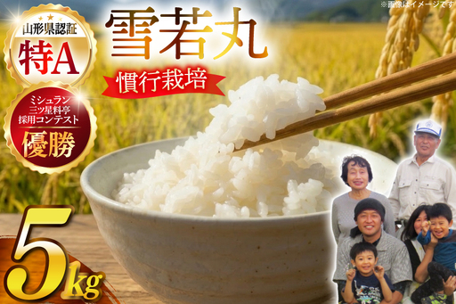[期間限定発送] 米 令和7年産 慣行栽培 雪若丸 5kg [金子農園 山形県 高畠町 tk06ays950061]