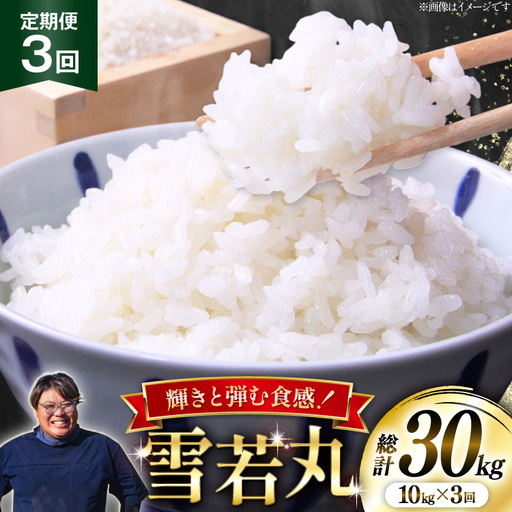 米 定期便 3回 令和8年産  雪若丸 10kg (5kg×2) [本田勇仁 山形県 高畠町 tk06bgj910003]