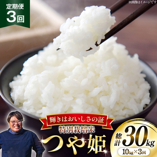米 定期便 3回 令和8年産 特別栽培米 つや姫 10kg (5kg×2) [本田勇仁 山形県 高畠町 tk06bgj910007]
