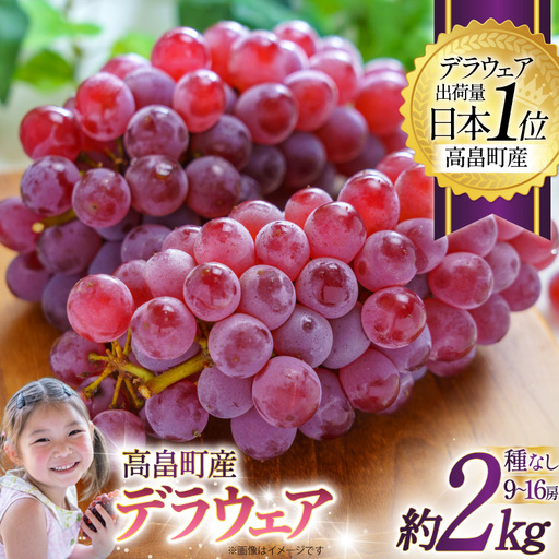 [期間限定発送] ぶどう デラウェア 約9〜16房 約2kg [齋藤ファーム 山形県 高畠町 tk06bnv890000]