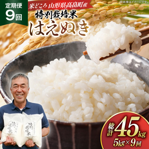 米 定期便 9回 令和8年産 特別栽培米 はえぬき 5kg 9回 計45kg [渡部ファーム 山形県 高畠町 tk06ays810051]