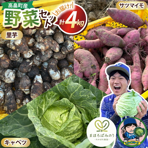[期間限定発送] 3種 野菜 ( キャベツ さつまいも 里芋 ) 計約4kg セット [農家の店しゃんくすろーど 山形県 高畠町 tk06bcz250000]