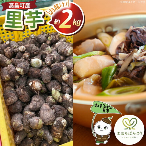 [期間限定発送] 里芋 約 2kg (15〜20個) 土付き [農家の店しゃんくすろーど 山形県 高畠町 tk06bcz250001]