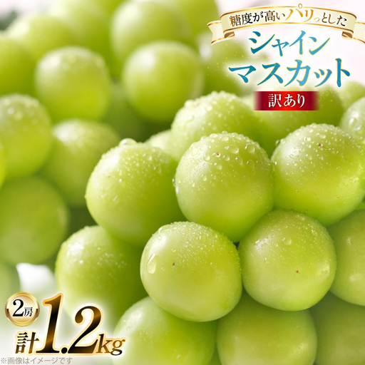 [期間限定発送] 訳あり シャインマスカット 2房 1.2kg [田制農園 山形県 高畠町 tk06ayt230011]