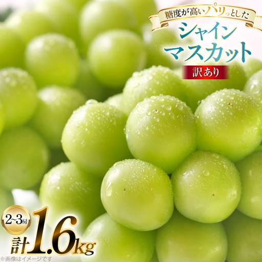 【期間限定発送】 訳あり シャインマスカット 2～3房 1.6kg [田制農園 山形県 高畠町 tk06ayt230010]