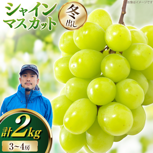 [期間限定発送] シャインマスカット 冬出し 3〜4房 約2kg [井上農園 山形県 高畠町 tk06box920000]